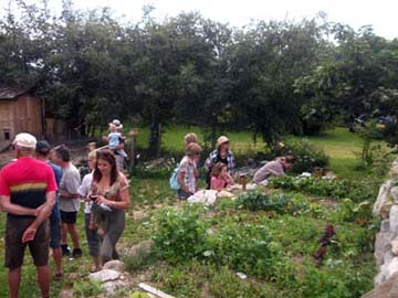 jardin vieux madrier